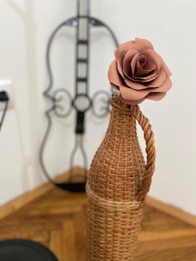 Enjoy Kalenic Apartman Belgrád Kültér fotó